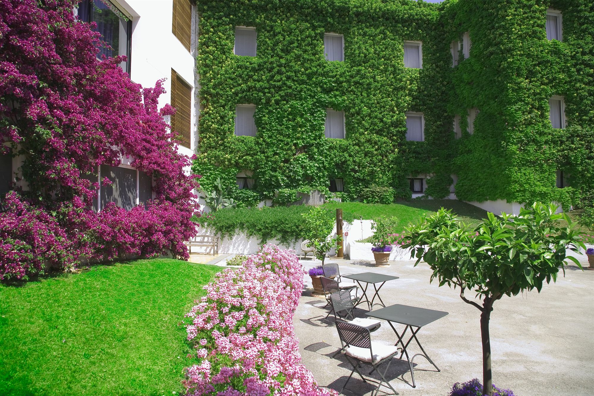 Hotel Emilia 안코나 외부 사진